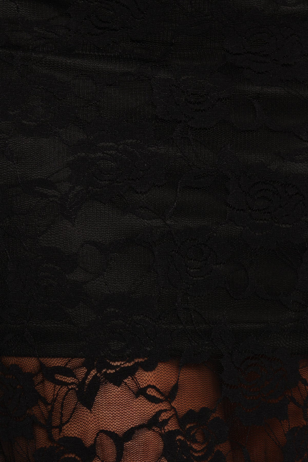Laken Sheer Lace Maxi Skirt - Black